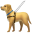 Veľký pes